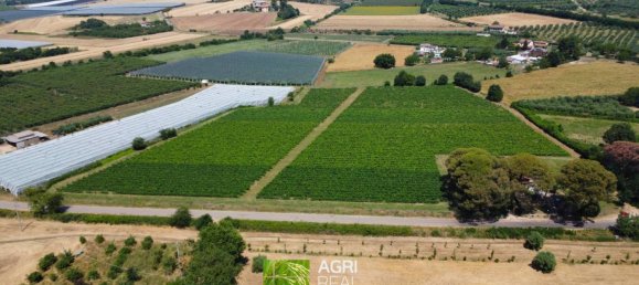 34910m² Land in Cisterna di Latina, Italy No. 272885 5