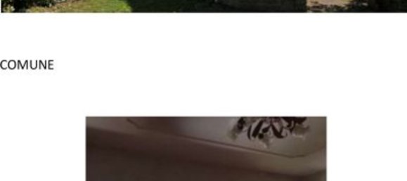 7 rooms Apartment in Viterbo, Italy No. 199156 6