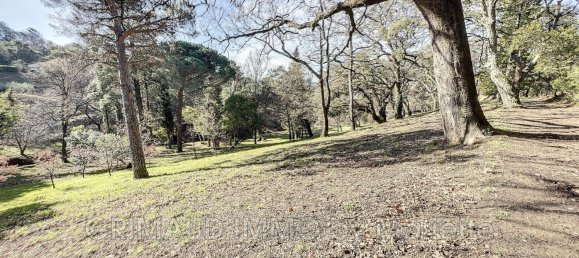 4 rooms House in La Garde-Freinet, France No. 331734 16