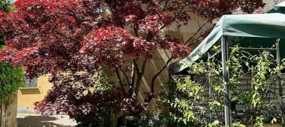 10 rooms Villa in Meina, Italy No. 258669 17