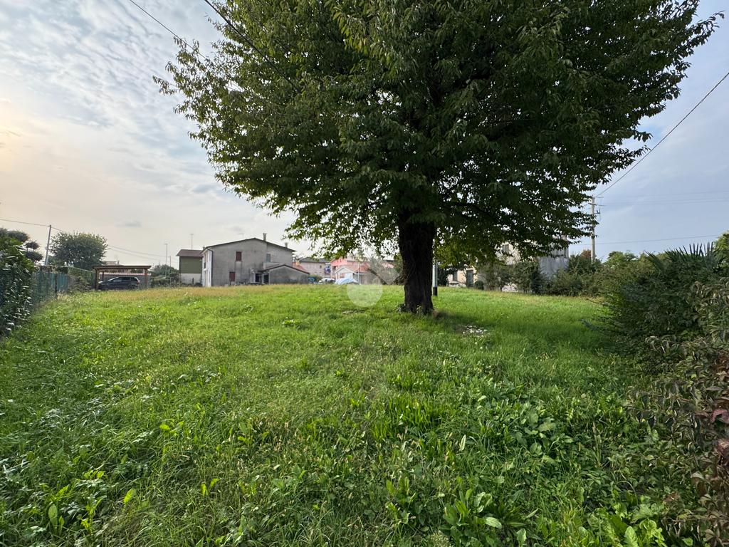 1100m² Land in Campo San Martino, Italy No. 102554