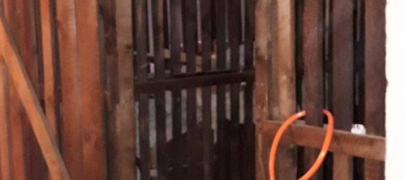 Estudio en Penzing, Austria No. 154880 9