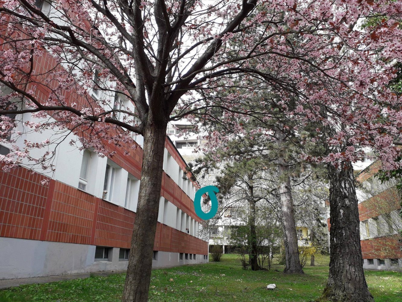 Estudio en Penzing, Austria No. 154880