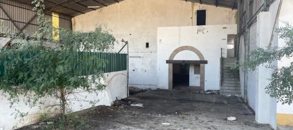 Armazém em Crato, Portugal 75700 m² N.º 86661 7