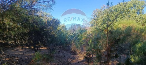 1700m² Land in Belpasso, Italy No. 337332 20