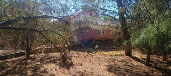 1700m² Land in Belpasso, Italy No. 337332 21