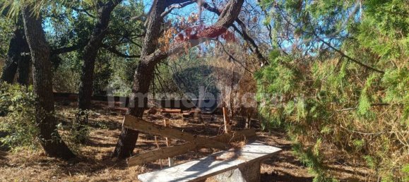 1700m² Land in Belpasso, Italy No. 337332 14