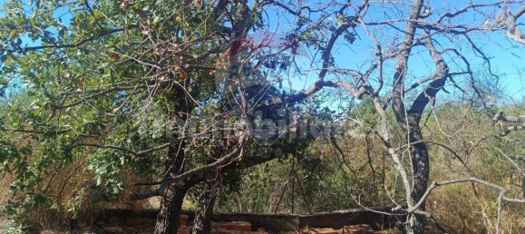 1700m² Land in Belpasso, Italy No. 337332 26