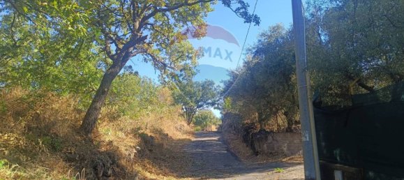 1700m² Land in Belpasso, Italy No. 337332 7