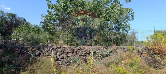 1700m² Land in Belpasso, Italy No. 337332 17