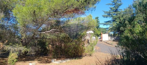 1700m² Land in Belpasso, Italy No. 337332 22