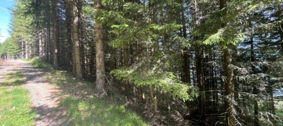 Terreno em Tamsweg, Austria N.º 162154 10