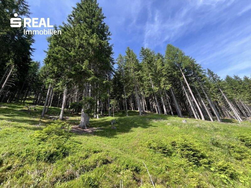 Terreno em Tamsweg, Austria N.º 162154