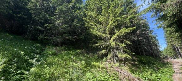 Terreno em Tamsweg, Austria N.º 162154 9