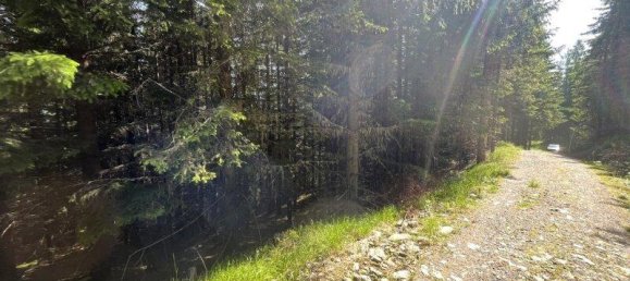 Terreno em Tamsweg, Austria N.º 162154 12