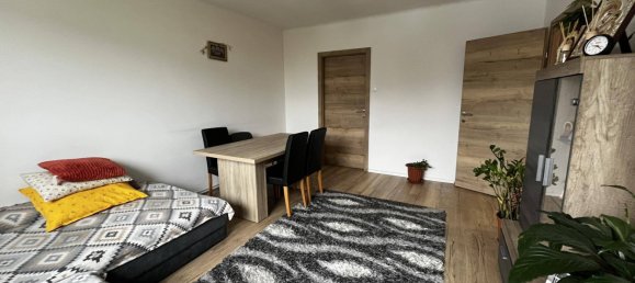 1 bedroom Apartment in Amstetten, Austria No. 24244 5