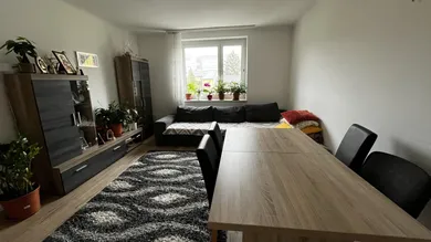 1 bedroom Apartment in Amstetten, Austria No. 24244