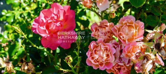 29غرفة فيلا في Brunate, Italy رقم 125877 21