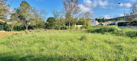 1075m² Land in Carcassonne, France No. 293500 2