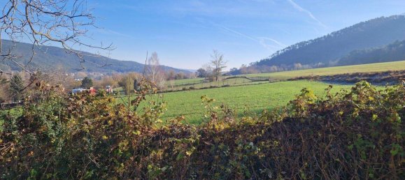 Terreno en Markt Piesting, Austria No. 242917 6