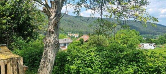 Terreno en Markt Piesting, Austria No. 242917 2