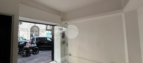 1-Zimmer Gewerbliche Immobilie in Naples, Italy, Nr. 124187 12