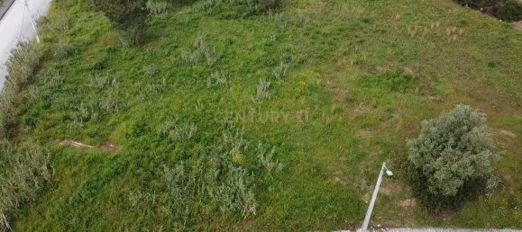 28000m² Land in Azambuja, Portugal No. 142145 12