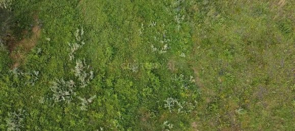 28000m² Land in Azambuja, Portugal No. 142145 13