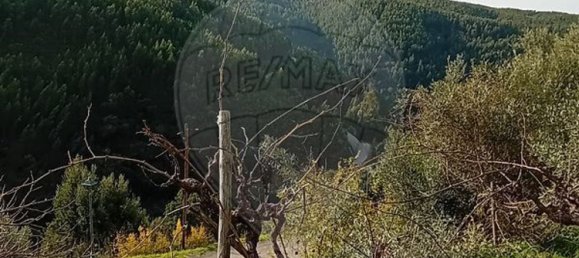 1 bedroom House in Alvaro, Portugal No. 179497 15