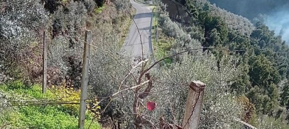 1 bedroom House in Alvaro, Portugal No. 179497 17