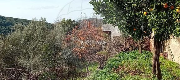 1 bedroom House in Alvaro, Portugal No. 179497 14