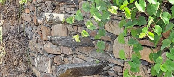 1 bedroom House in Alvaro, Portugal No. 179497 16