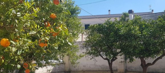 6 Schlafzimmer Haus in Veglie, Italy, Nr. 369805 7