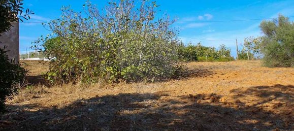 Casa de 3 dormitorios en Lagoa, Portugal No. 25594 18