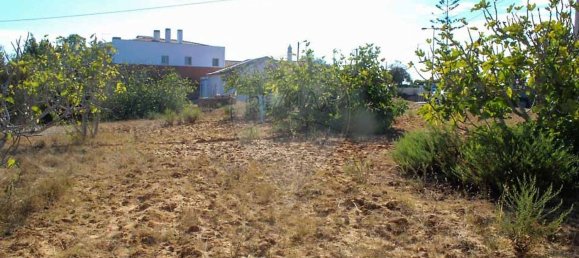 Casa de 3 dormitorios en Lagoa, Portugal No. 25594 16