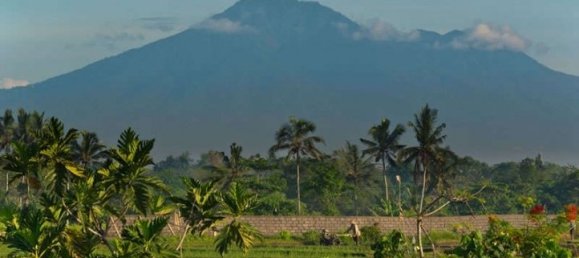 4 bedrooms Villa in Canggu, Indonesia No. 2988 28