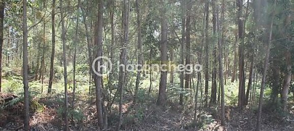 قطعة أرض في Alvelos, Portugal 11005متر مربع رقم 31332 3