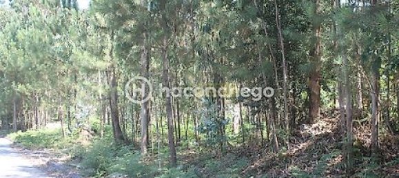 قطعة أرض في Alvelos, Portugal 11005متر مربع رقم 31332 4