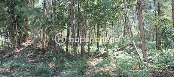 قطعة أرض في Alvelos, Portugal 11005متر مربع رقم 31332 7