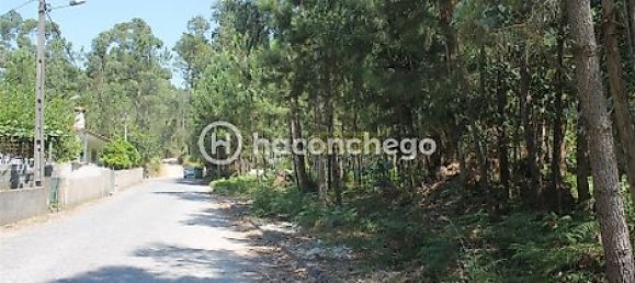 قطعة أرض في Alvelos, Portugal 11005متر مربع رقم 31332 8