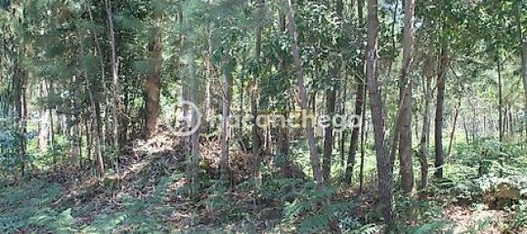 قطعة أرض في Alvelos, Portugal 11005متر مربع رقم 31332 5