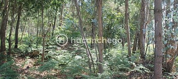 قطعة أرض في Alvelos, Portugal 11005متر مربع رقم 31332 6