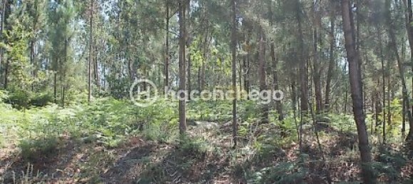 قطعة أرض في Alvelos, Portugal 11005متر مربع رقم 31332 2