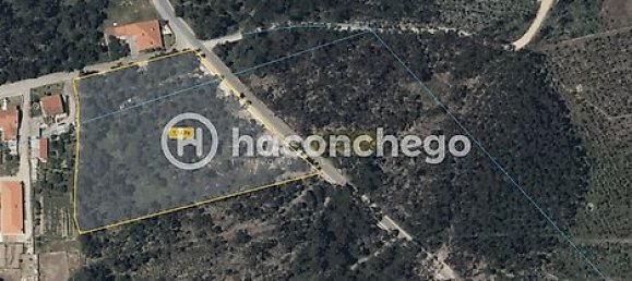 قطعة أرض في Alvelos, Portugal 11005متر مربع رقم 31332 10
