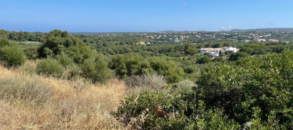  قطعة أرض في Cadiz, Spain 2690متر مربع رقم 25894 2