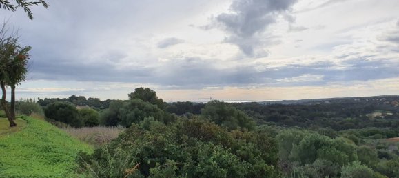  قطعة أرض في Cadiz, Spain 2690متر مربع رقم 25894 11