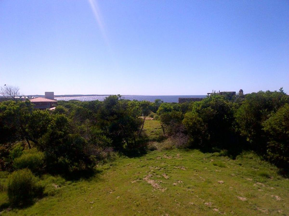 Terrain à Maldonado, Uruguay No. 15692