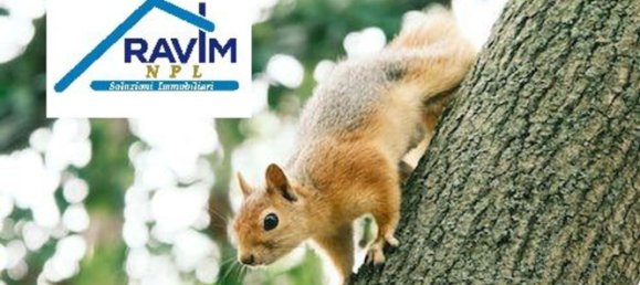 Apartamento de 3 dormitorios en Bari, Italy No. 377951 26