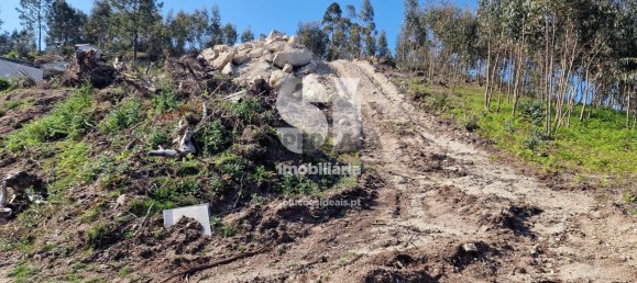 Grundstück in Rebordosa, Portugal, Nr. 157158 6