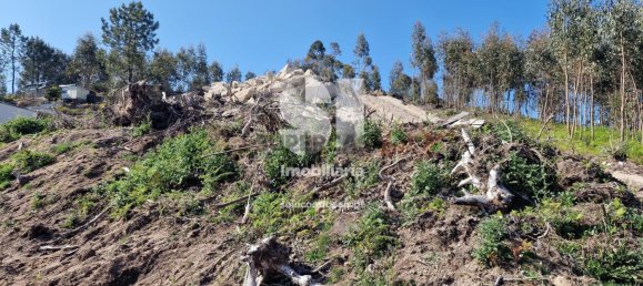 Grundstück in Rebordosa, Portugal, Nr. 157158 11